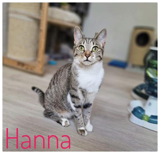 Hanna 01 1